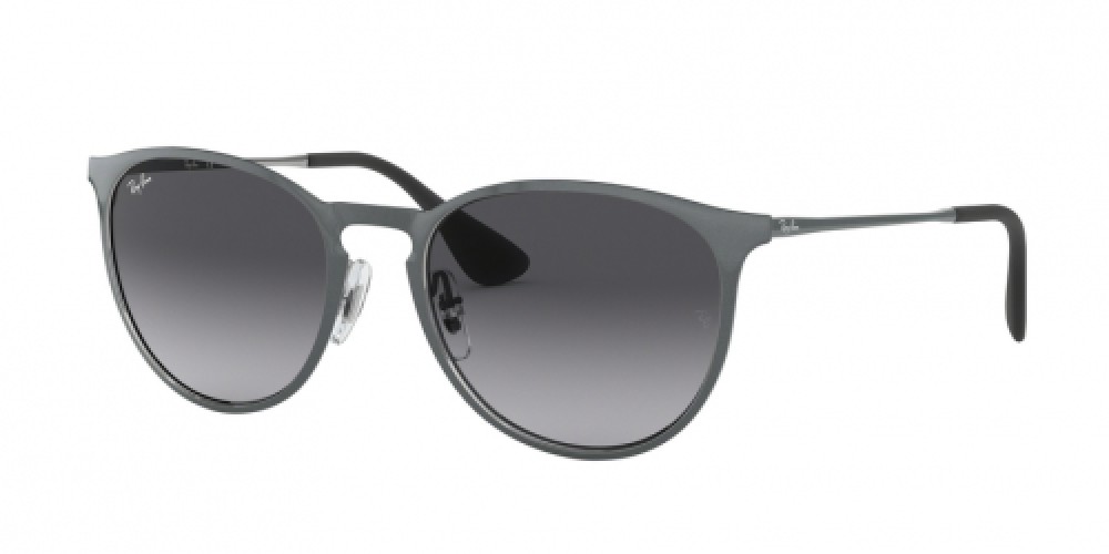 Ray-Ban ERIKA METAL RB3539 192/8G