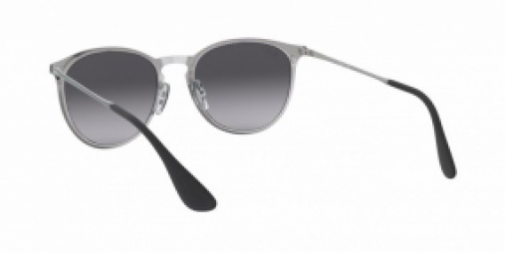 Ray-Ban ERIKA METAL RB3539 192/8G