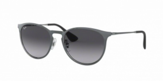 Ray-Ban ERIKA METAL RB3539 192/8G