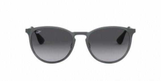 Ray-Ban ERIKA METAL RB3539 192/8G