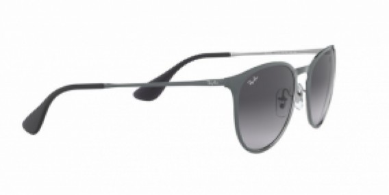 Ray-Ban ERIKA METAL RB3539 192/8G