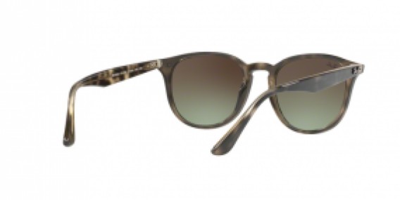 Ray-Ban RB4259 731/E8