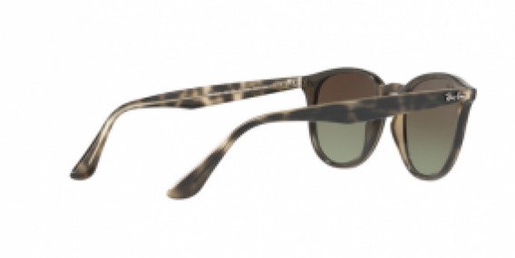 Ray-Ban RB4259 731/E8