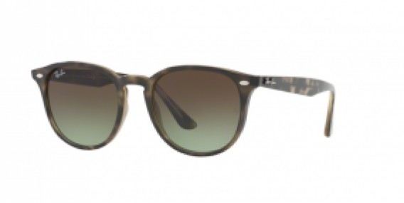 Ray-Ban RB4259 731/E8