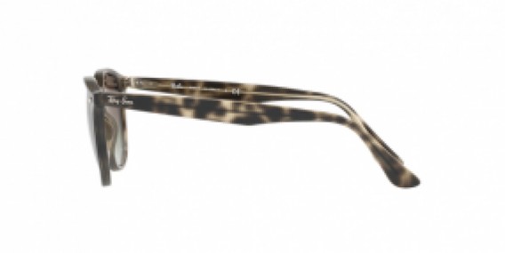 Ray-Ban RB4259 731/E8