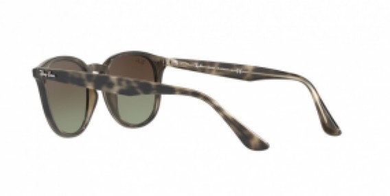 Ray-Ban RB4259 731/E8