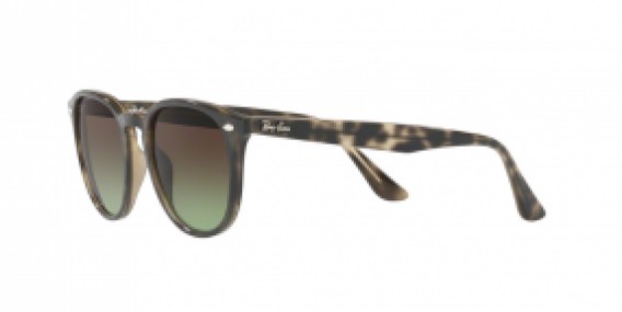 Ray-Ban RB4259 731/E8