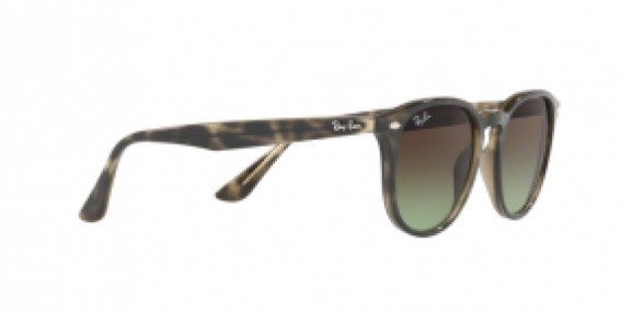 Ray-Ban RB4259 731/E8