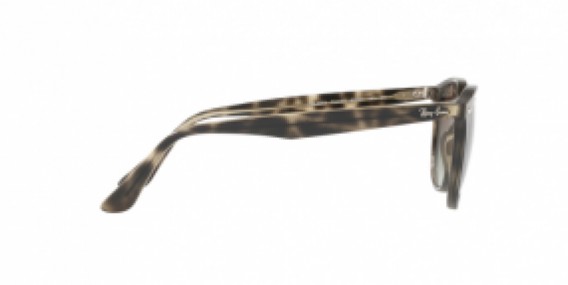 Ray-Ban RB4259 731/E8