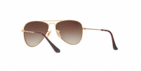 Ray-Ban RB9506S 223/13