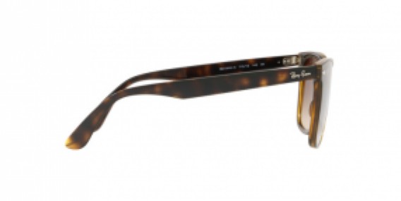 Ray-Ban Blaze Wayfarer RB4440N 710/13