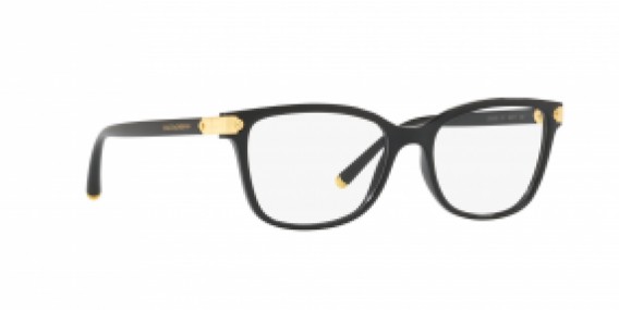 Dolce&Gabbana DG5036 501