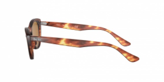 Ray-Ban RB4314N 954/33 