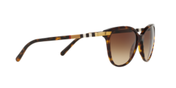 Burberry BE4216 3002/13