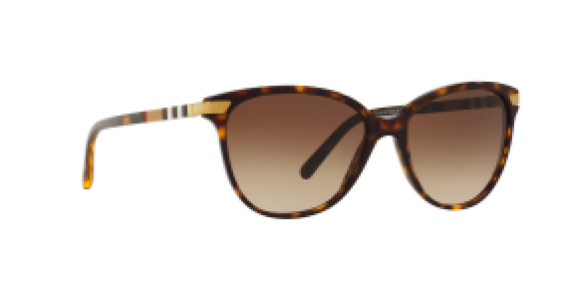 Burberry BE4216 3002/13