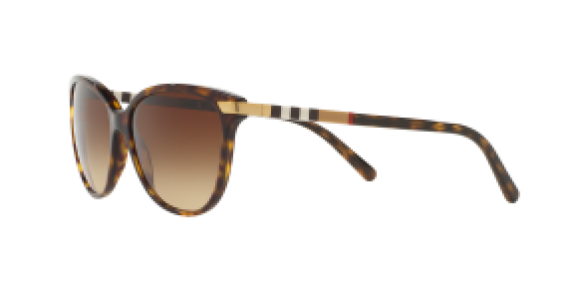 Burberry BE4216 3002/13