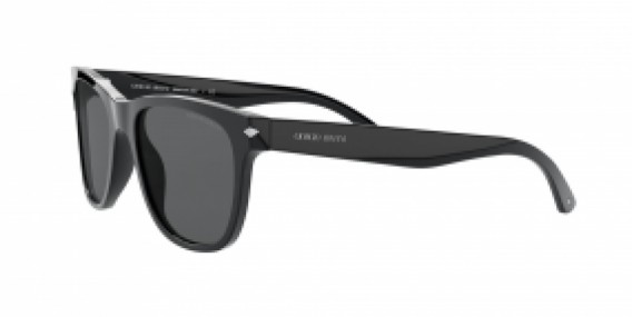 Giorgio Armani AR8133 500187