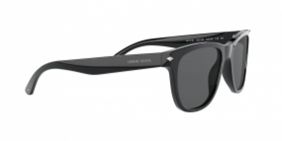 Giorgio Armani AR8133 500187