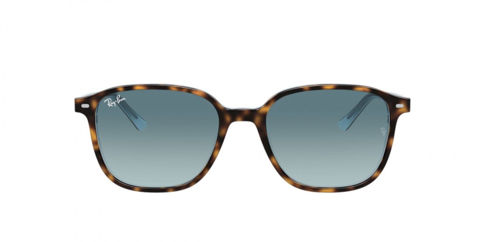 Ray-Ban Leonard RB2193 13163M