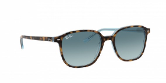 Ray-Ban Leonard RB2193 13163M