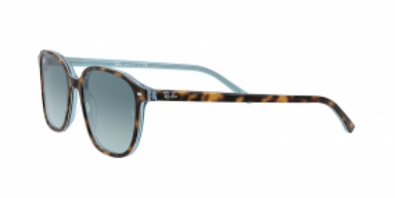 Ray-Ban Leonard RB2193 13163M