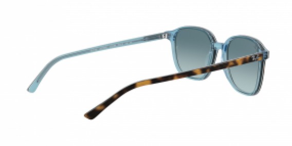 Ray-Ban Leonard RB2193 13163M