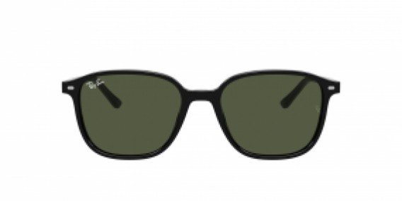 Ray-Ban Leonard RB2193 901/31