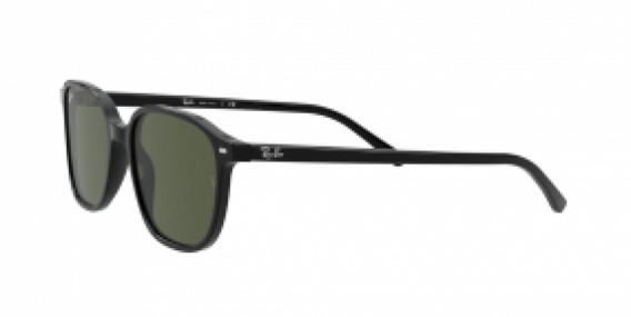 Ray-Ban Leonard RB2193 901/31