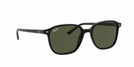 Ray-Ban Leonard RB2193 901/31