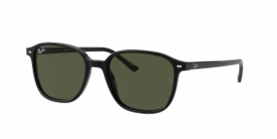 Ray-Ban Leonard RB2193 901/31