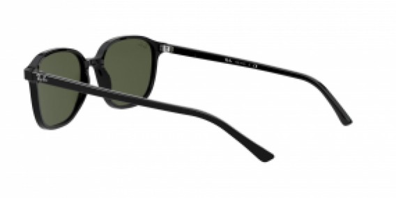 Ray-Ban Leonard RB2193 901/31