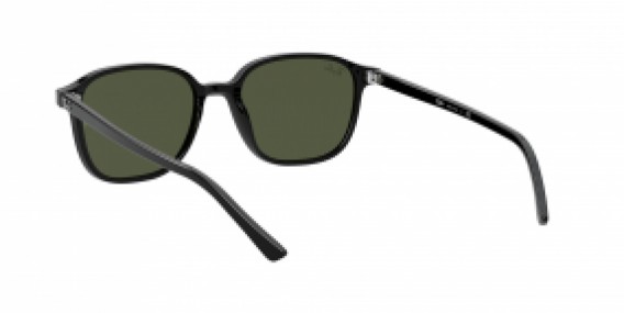 Ray-Ban Leonard RB2193 901/31