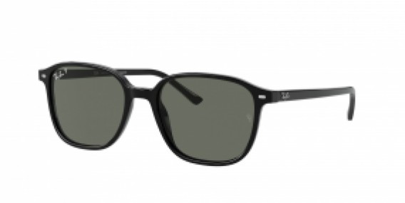 Ray-Ban Leonard RB2193 901/58