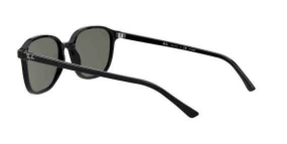 Ray-Ban Leonard RB2193 901/58