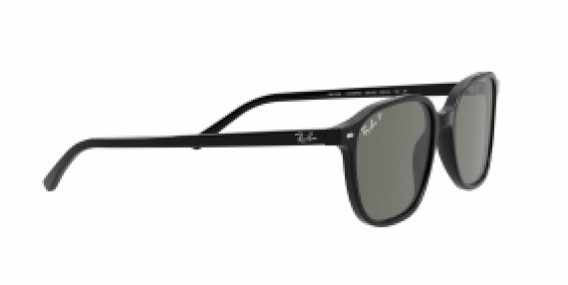 Ray-Ban Leonard RB2193 901/58