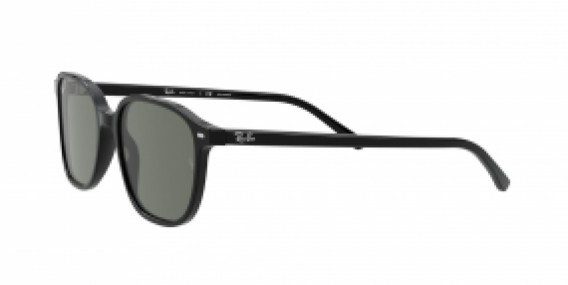 Ray-Ban Leonard RB2193 901/58