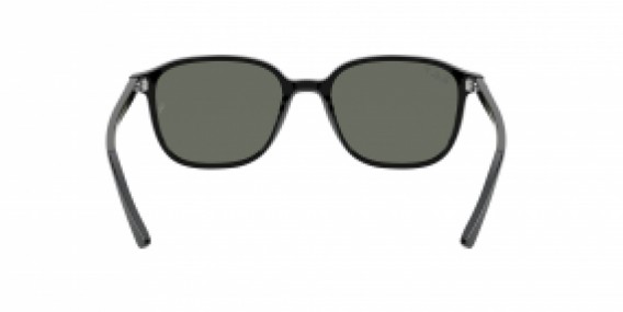 Ray-Ban Leonard RB2193 901/58