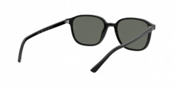 Ray-Ban Leonard RB2193 901/58