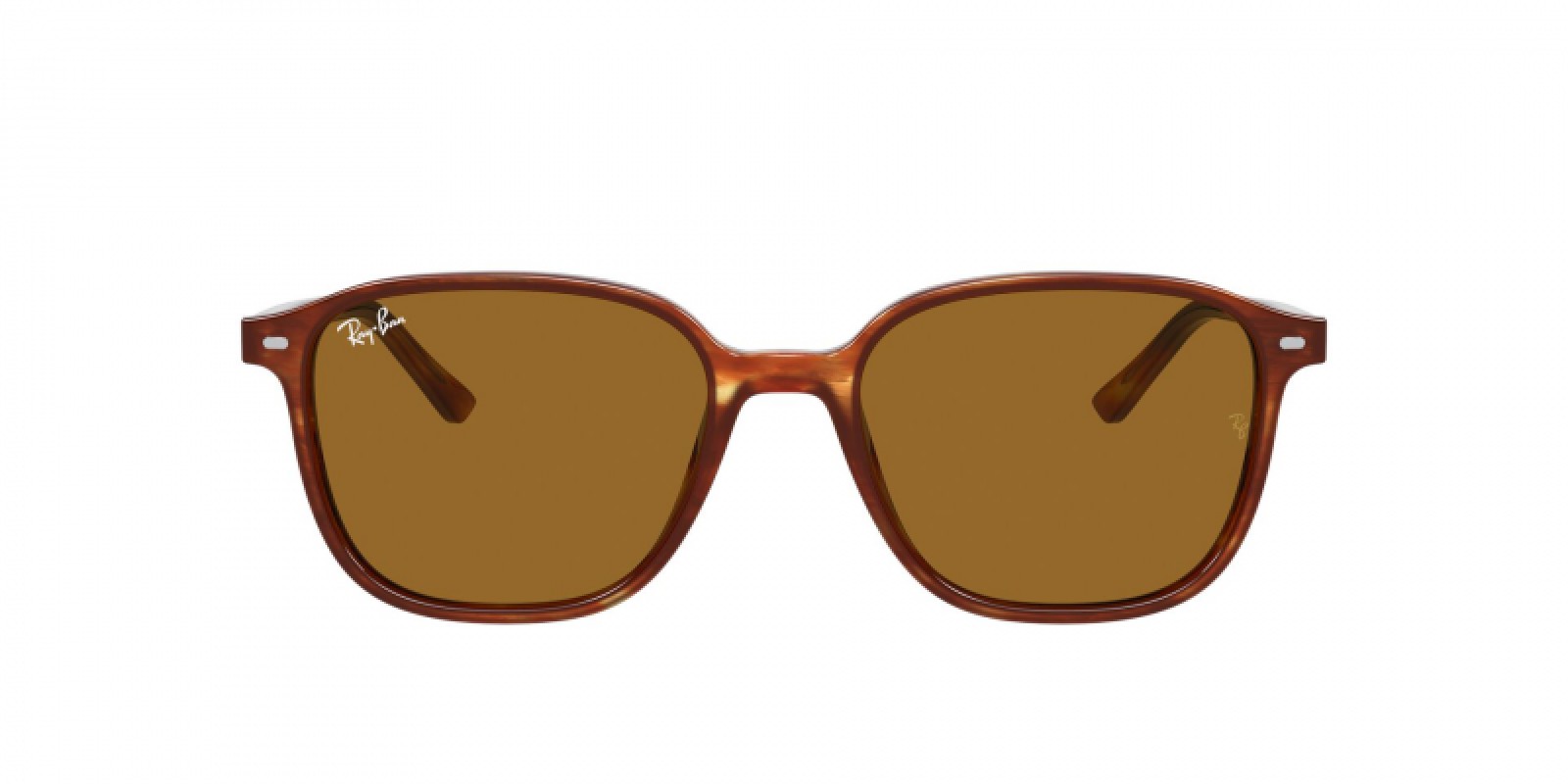 Ray-Ban Leonard RB2193 954/33