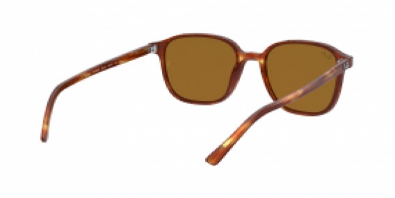 Ray-Ban Leonard RB2193 954/33