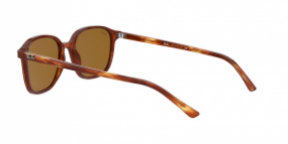 Ray-Ban Leonard RB2193 954/33