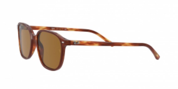 Ray-Ban Leonard RB2193 954/33