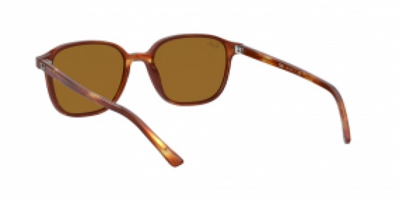 Ray-Ban Leonard RB2193 954/33