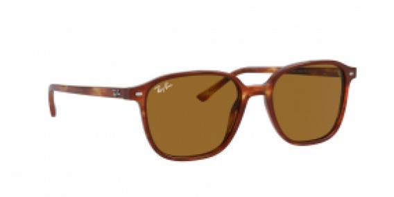 Ray-Ban Leonard RB2193 954/33