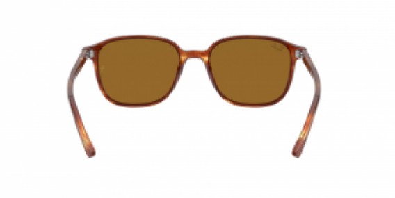 Ray-Ban Leonard RB2193 954/33