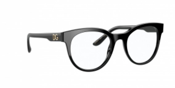 Dolce & Gabbana DG3334 501