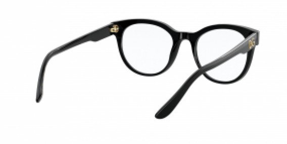 Dolce & Gabbana DG3334 501