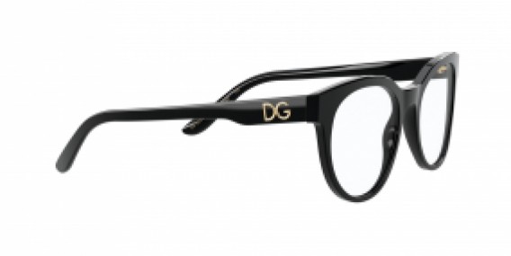 Dolce & Gabbana DG3334 501