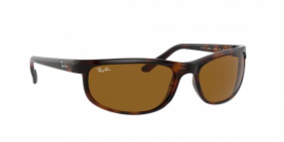 Ray-Ban Predator 2 RB2027 650833