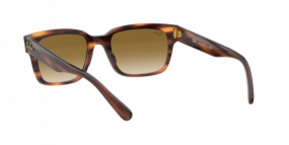 Ray-Ban Jeffrey RB2190 954/51